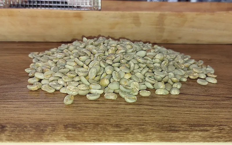 Café de Finca de ejemplo Loja, proceso lavado